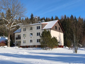 Apartment Harrachov 582 by Interhome